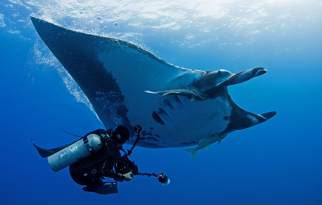 Underwater Photographer diving with a Manta Ray using ULCS accessories.