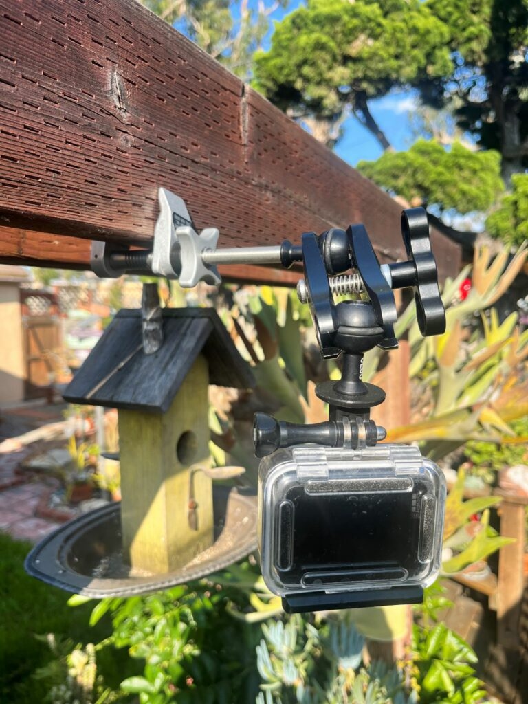 video camera for birds