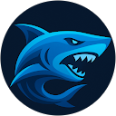 matt white profile picture