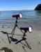 large ultralight tripods with lights